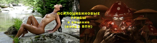 гидра Новодвинск