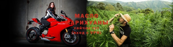 ПСИЛОЦИБИНОВЫЕ ГРИБЫ Новозыбков