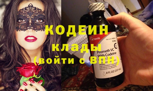 ПСИЛОЦИБИНОВЫЕ ГРИБЫ Новозыбков