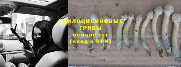 гидра Новодвинск