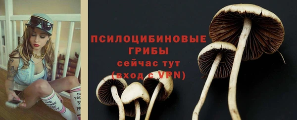 гидра Новодвинск