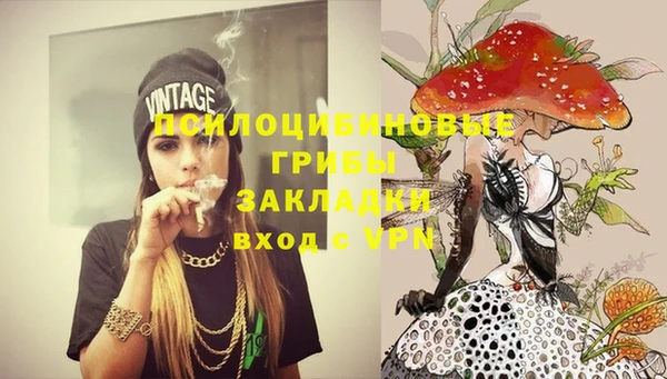 ПСИЛОЦИБИНОВЫЕ ГРИБЫ Новозыбков