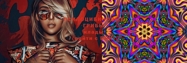 ПСИЛОЦИБИНОВЫЕ ГРИБЫ Новозыбков