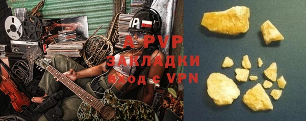 ПСИЛОЦИБИНОВЫЕ ГРИБЫ Новозыбков