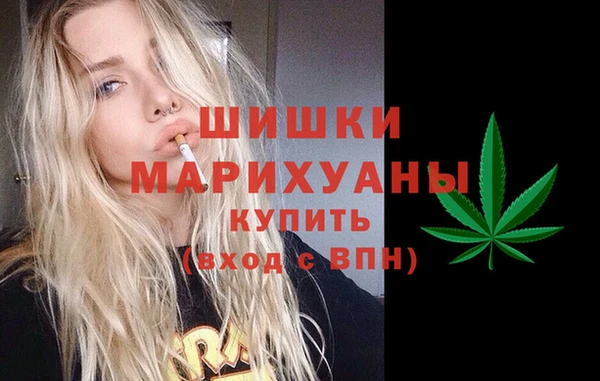 ПСИЛОЦИБИНОВЫЕ ГРИБЫ Новозыбков