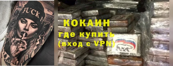 гидра Новодвинск