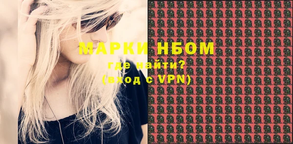 ПСИЛОЦИБИНОВЫЕ ГРИБЫ Новозыбков