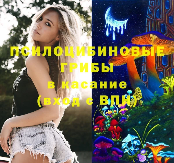 гидра Новодвинск