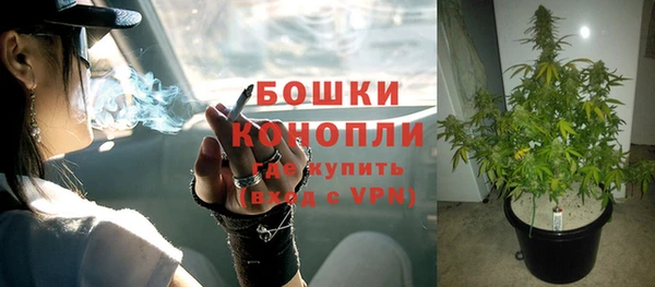 гидра Новодвинск