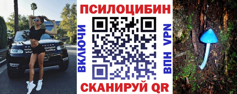 Псилоцибиновые грибы мицелий  Чекалин 